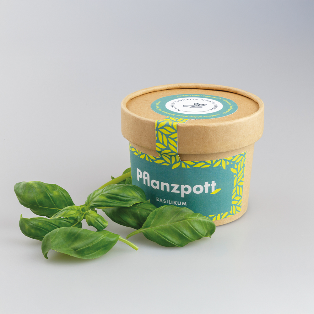 Pflanzpott – Kimo