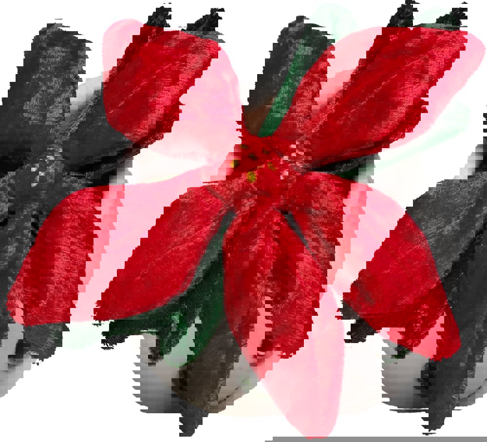 Schmoozies® Evergreenies® Weihnachtsstern, multicolour, one size