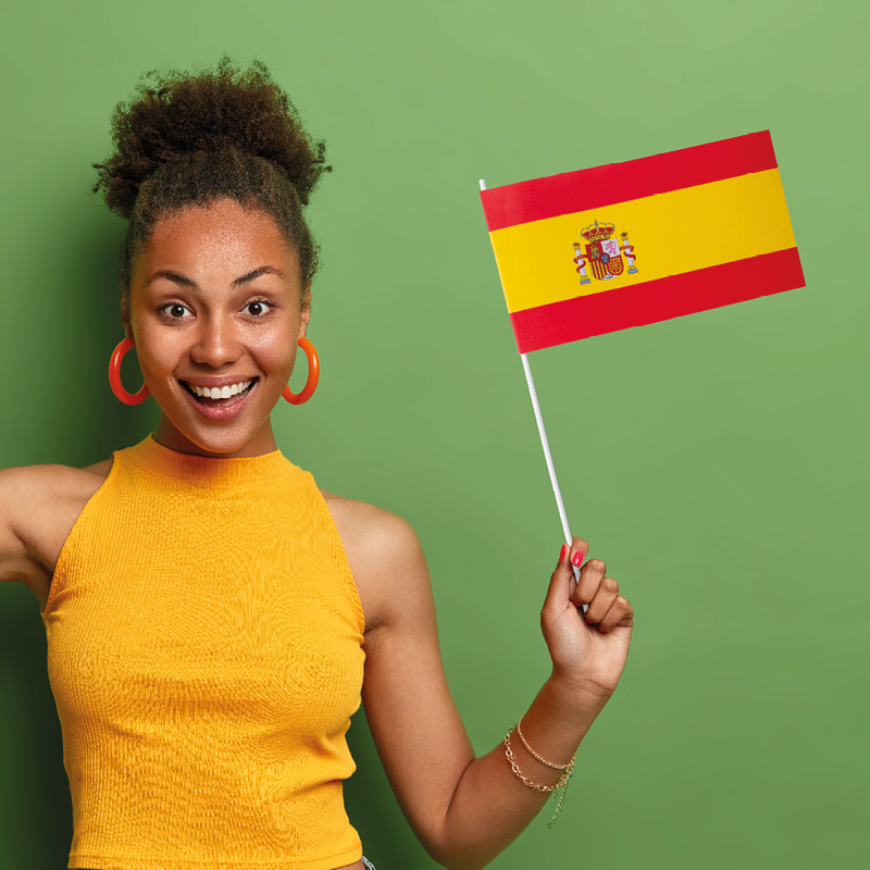 Länderfähnchen 11,5 x 24 cm Suriname