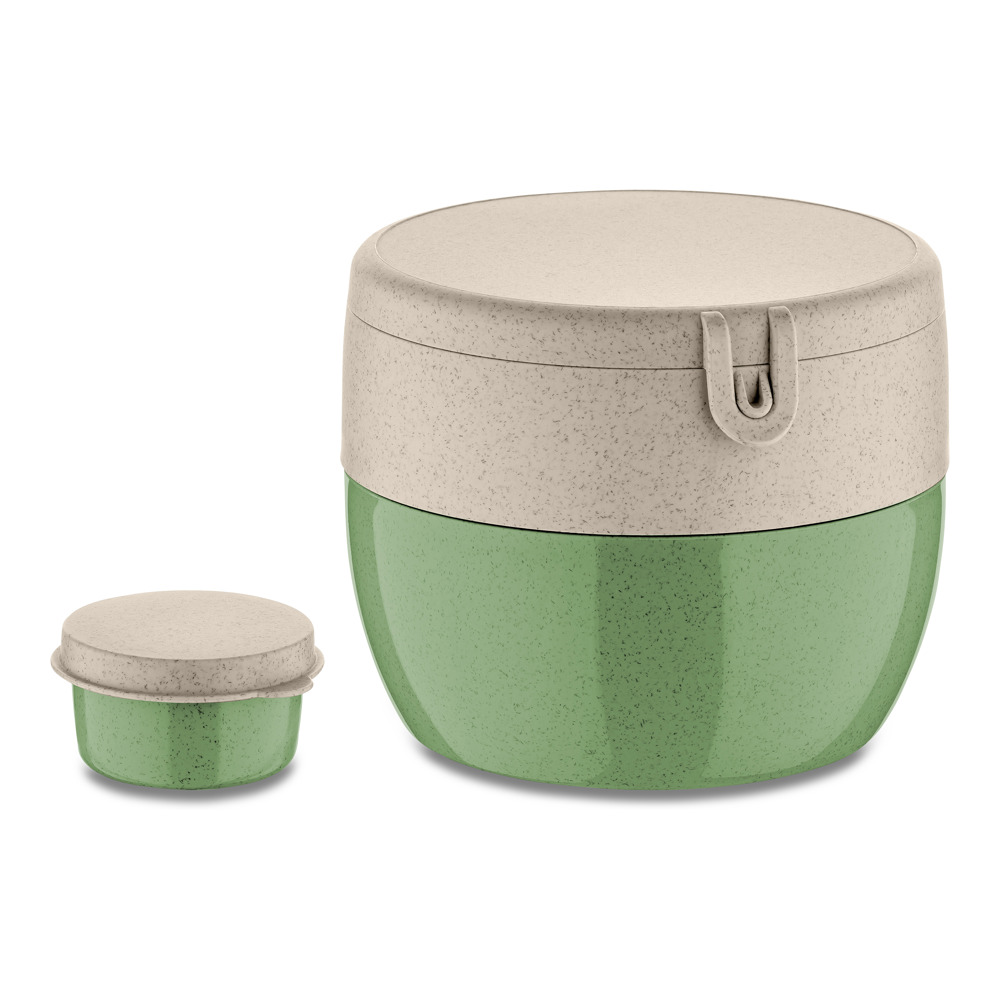 BENTOBOX M - nature leaf green