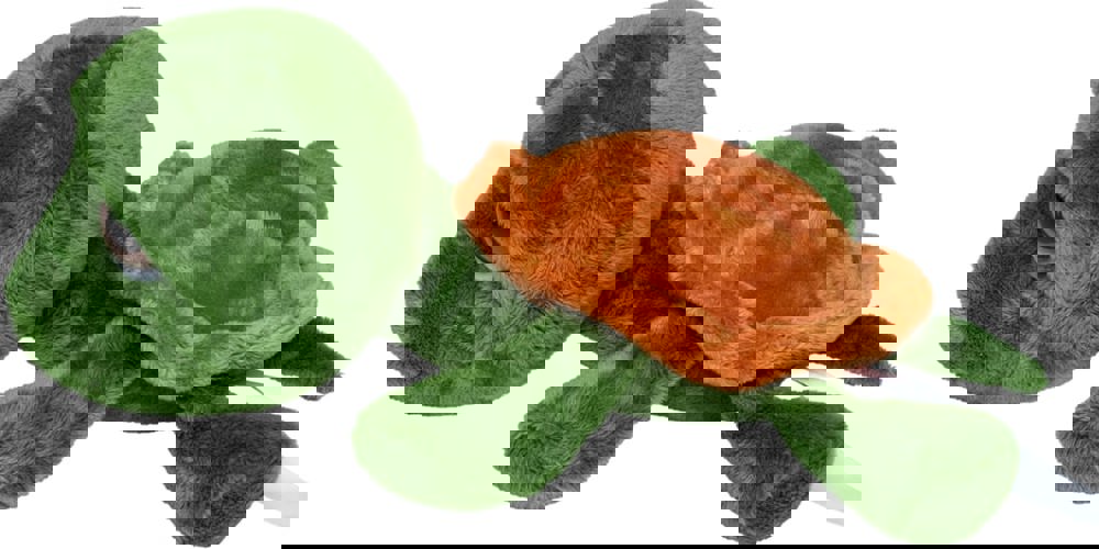 Schildkröte Lotte, grün, one size