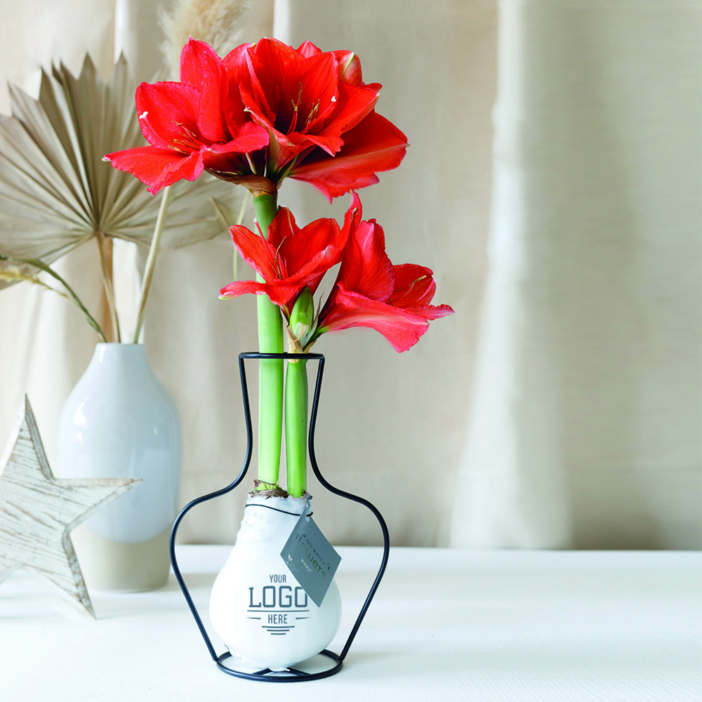 No Water Flowers® - Formz classic, In carry bag, Blau