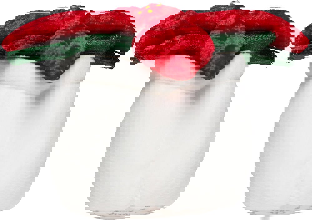 Schmoozies® Evergreenies® Weihnachtsstern, multicolour, one size