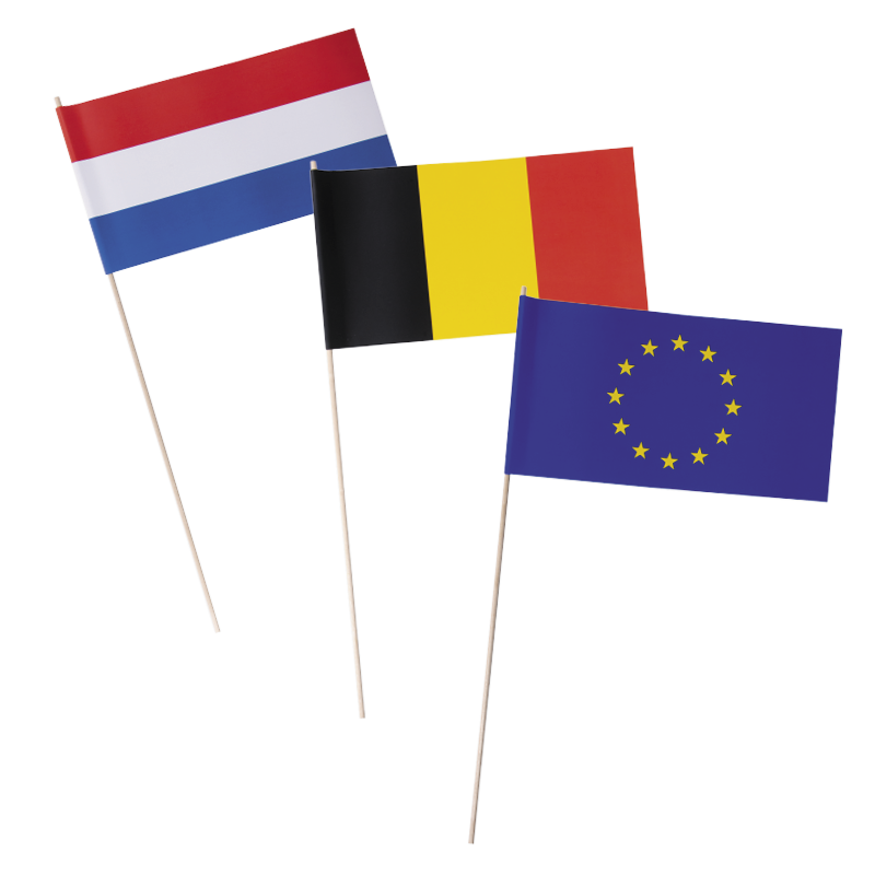 Länderfähnchen 11,5 x 24 cm