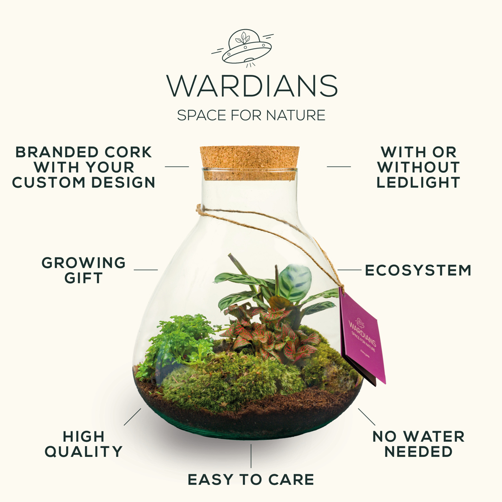Wardians® Ecosystem - Bottle small, Ohne Verpackung