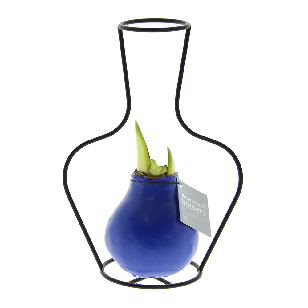 No Water Flowers® - Formz classic, In carry bag, Blau