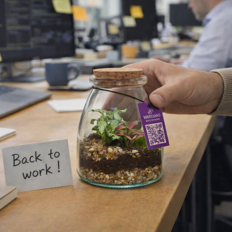 Wardians® Ecosystem - Bottle small, Ohne Verpackung