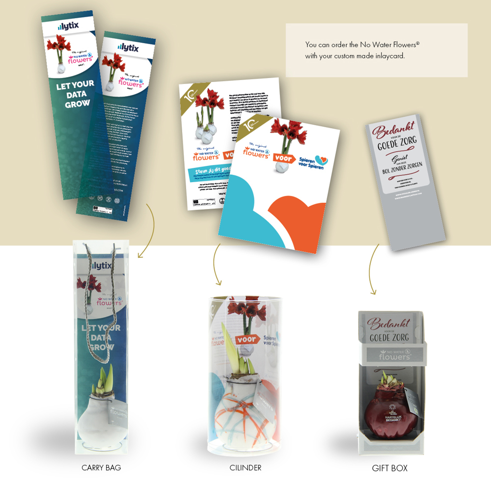 No Water Flowers® - Fashionz Halloween mix, In Geschenkbox