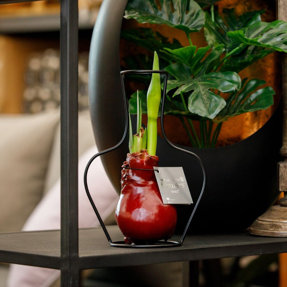 No Water Flowers® - Formz classic, In carry bag, Blau