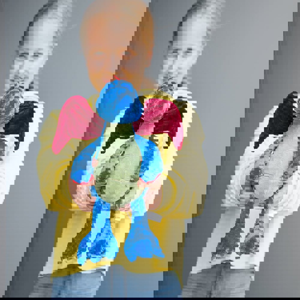 Drache Magnus, multicolour, one size