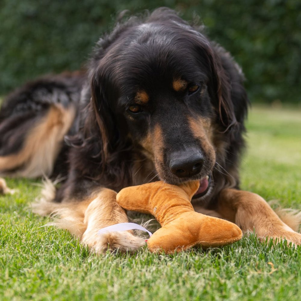 Hundespielzeug Knochen, braun, one size