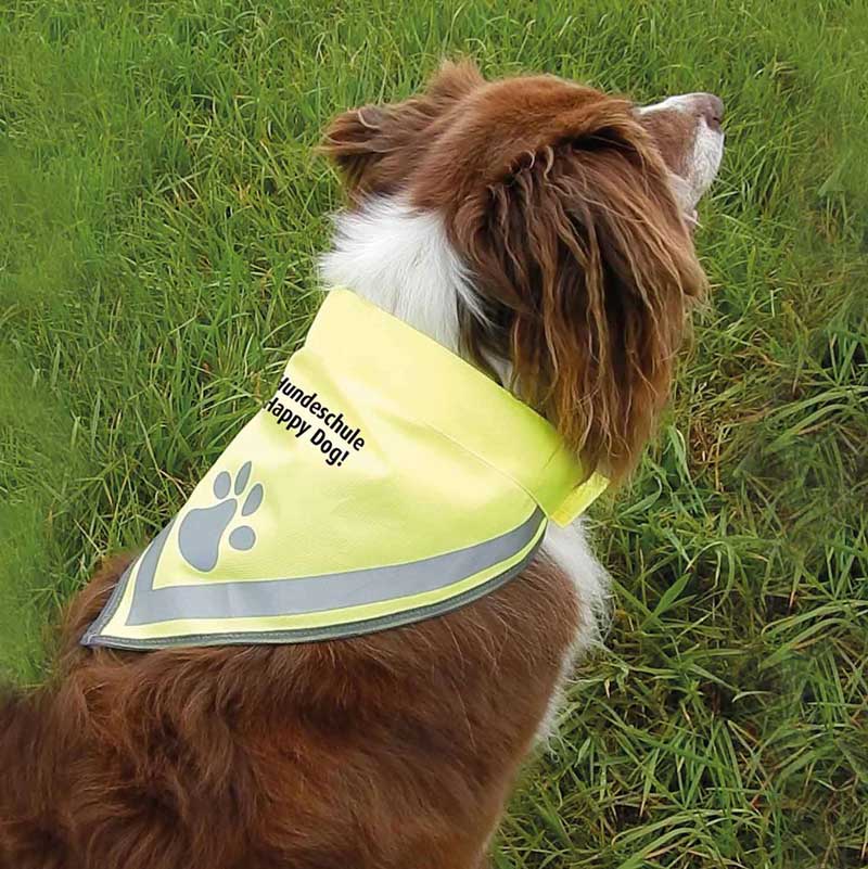 Hundehalstuch PAW | Preis auf Anfrage