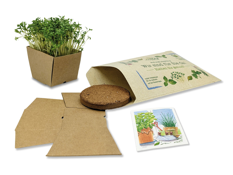 "Wünsch-Dir-Was" Samen-Pflanzset (4/4-fb) 105 x 156 mm