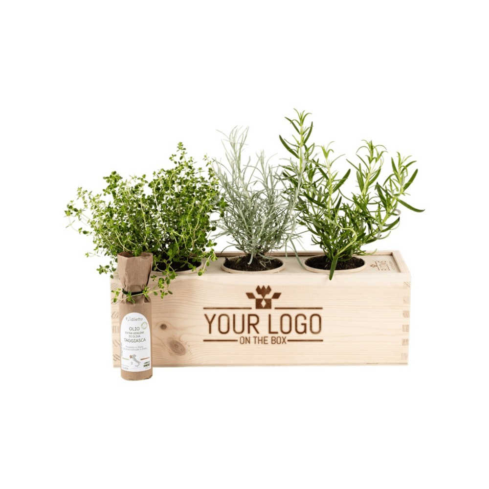 Herbs out of the Box 'Italian flavours'- L