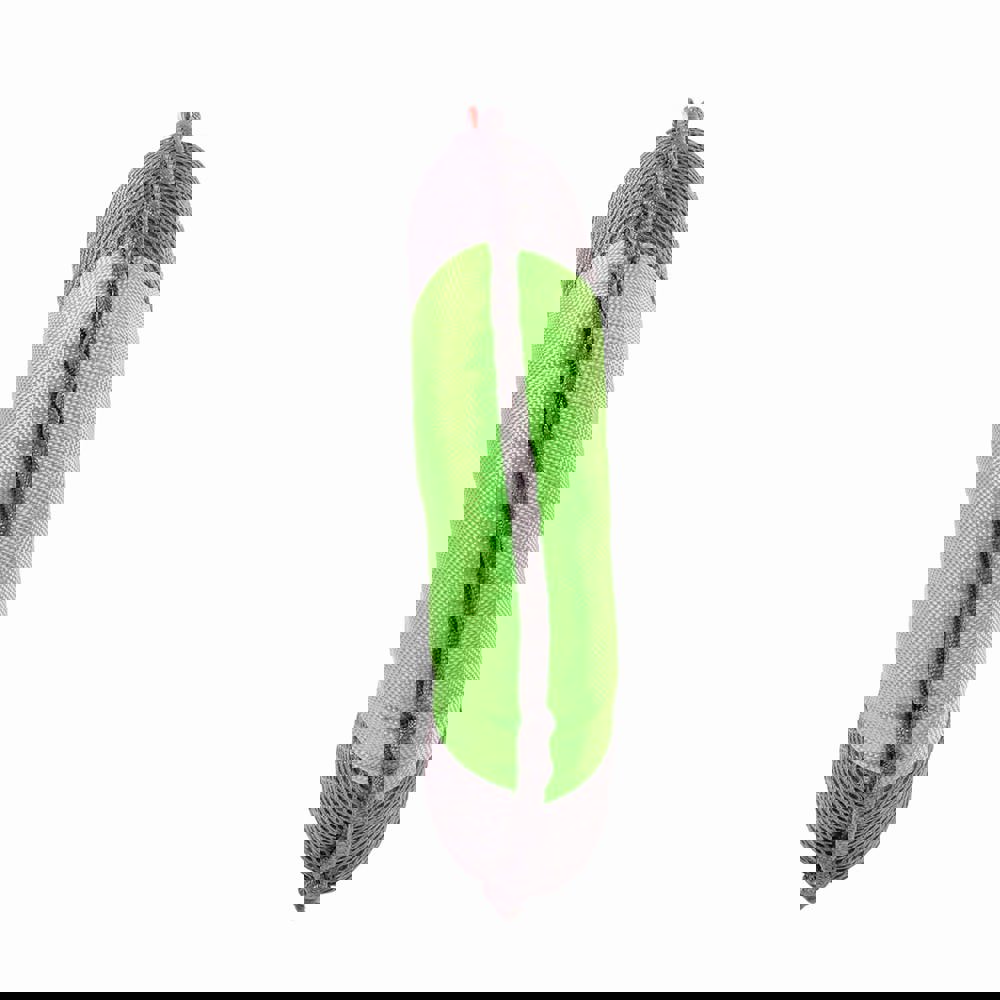 Hundespielzeug Flying Disc, grün/grau, M