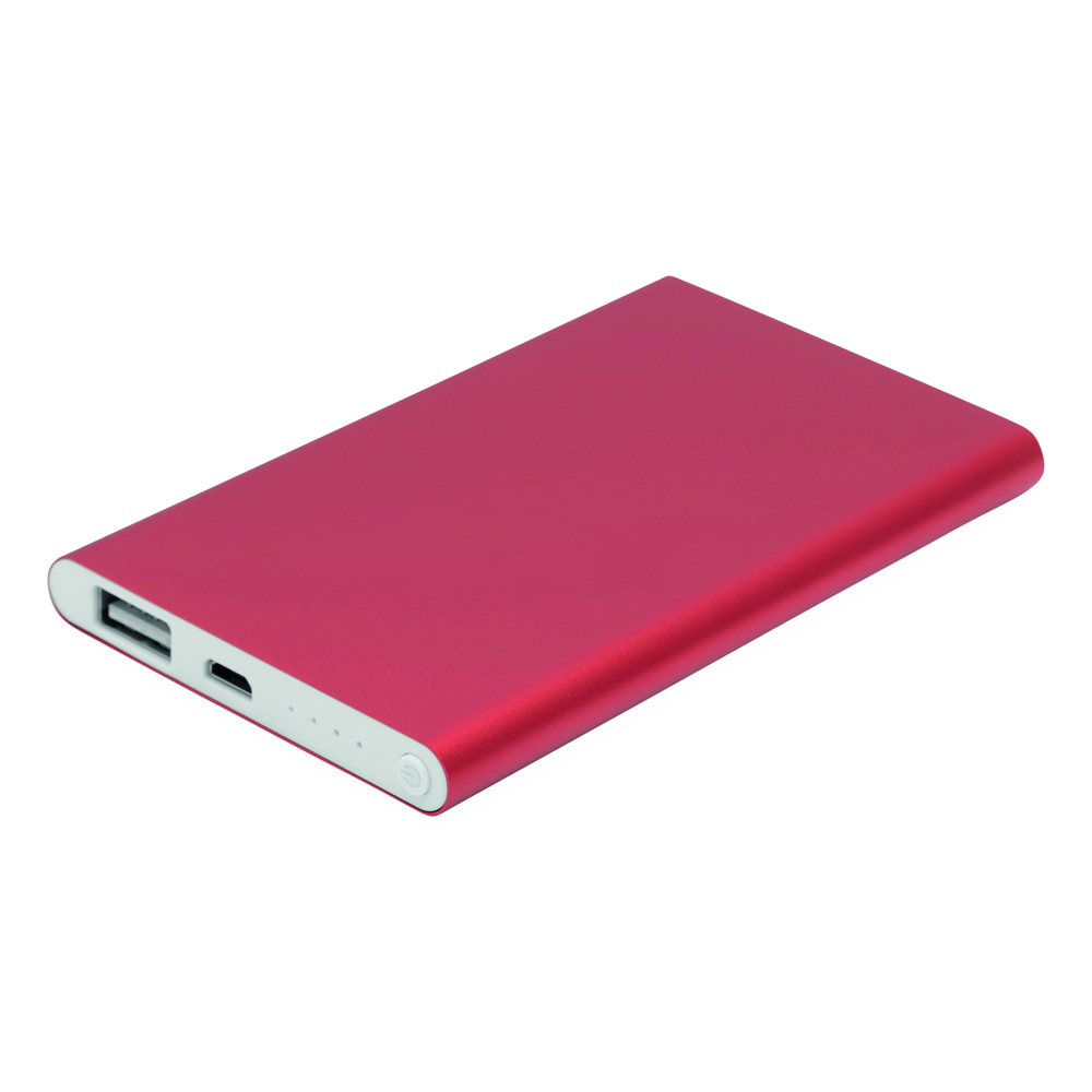 ENDURANCE EVOLUTION - Powerbank - rot