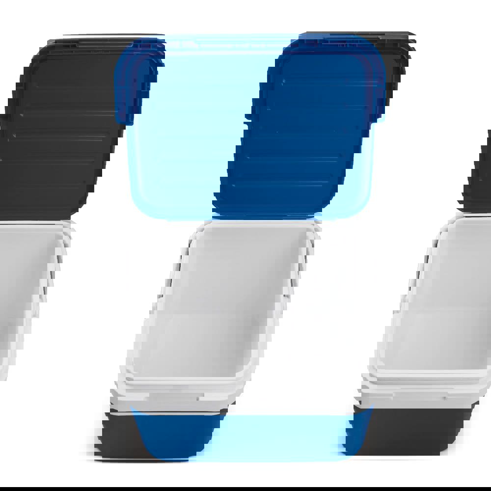 Kühlbox Classic 10L