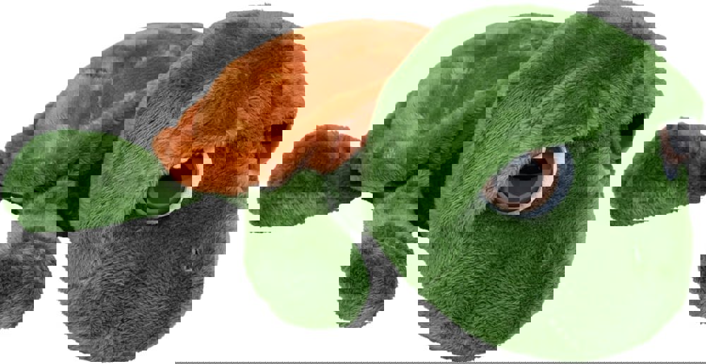 Schildkröte Lotte, grün, one size