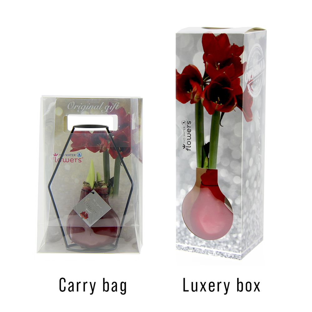 No Water Flowers® - Formz modern, In carry bag, Pastellblau