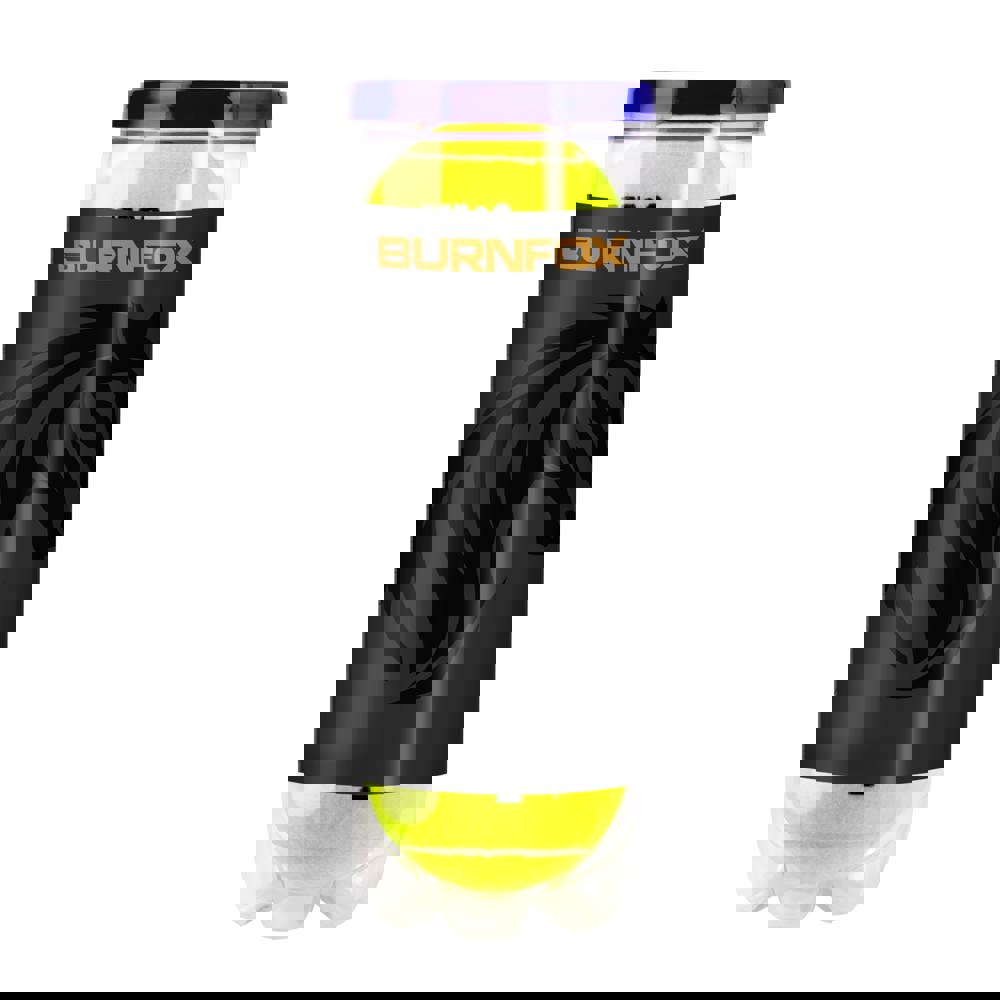 Wilson Roland Garros Tennisbälle