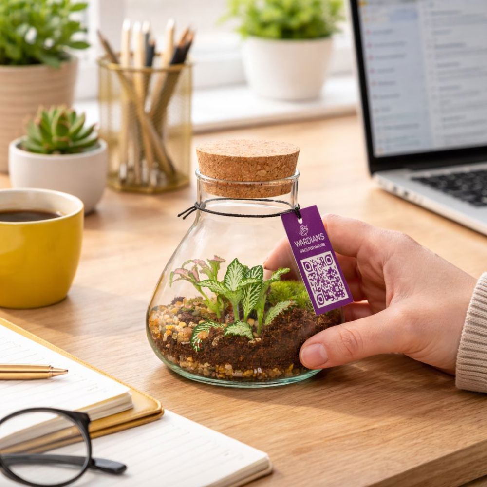 Wardians® Ecosystem - Erlenmeyer small, Ohne Verpackung