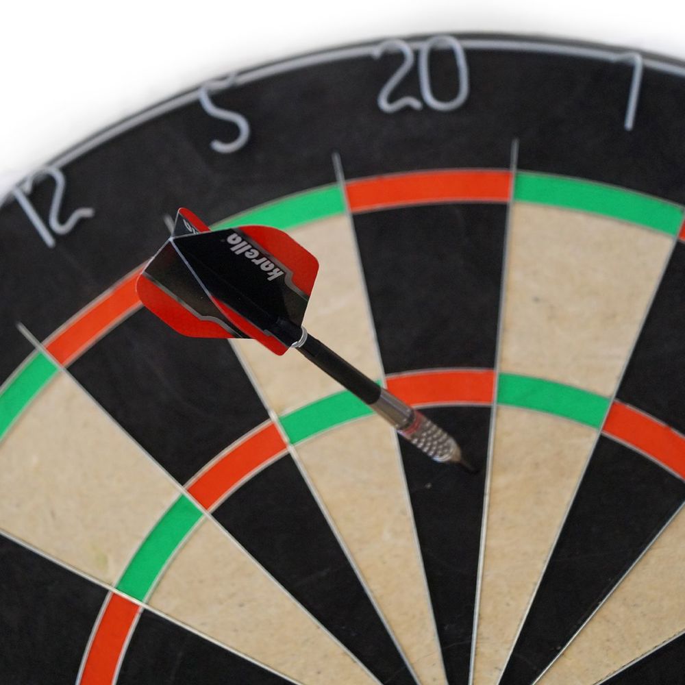 Dart Labor Dartboard „BULLOUT-SET INDIVIDUELL“ | inkl. 4c Druck auf ein Segment