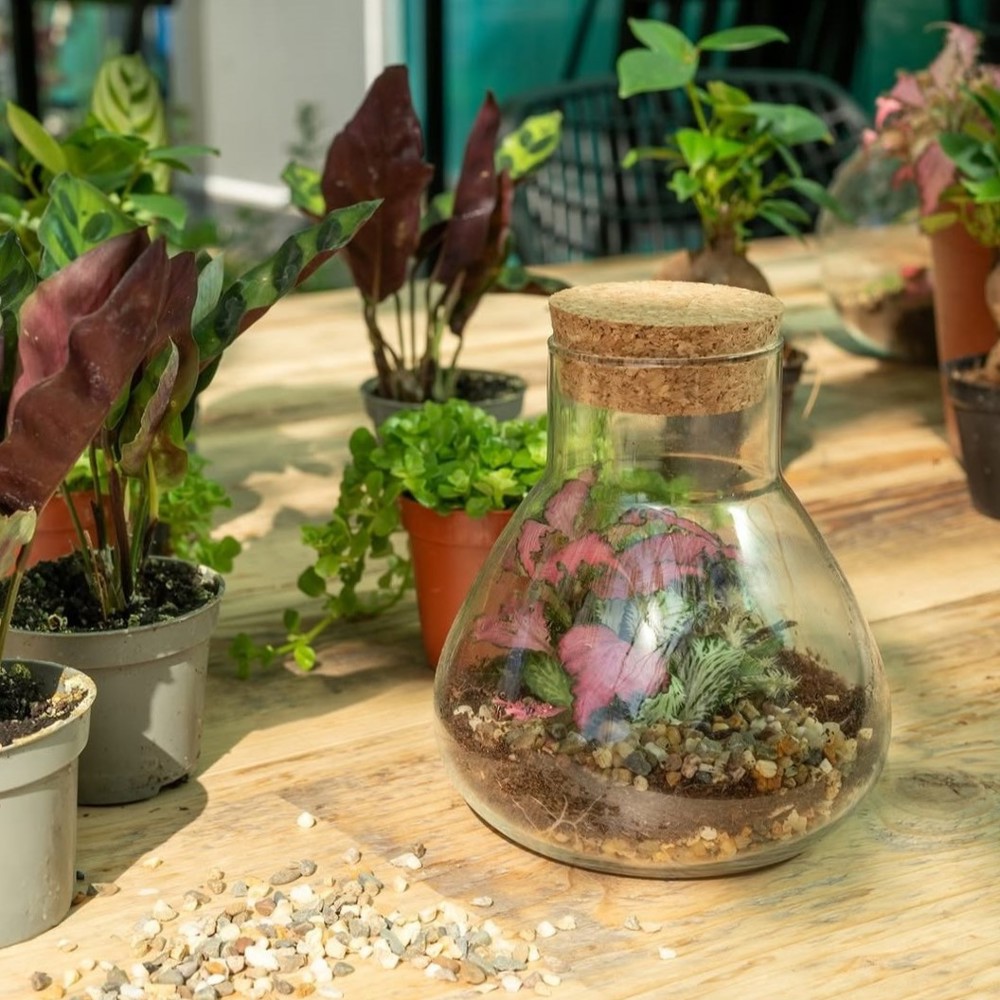 Wardians® Ecosystem - Erlenmeyer small, Ohne Verpackung