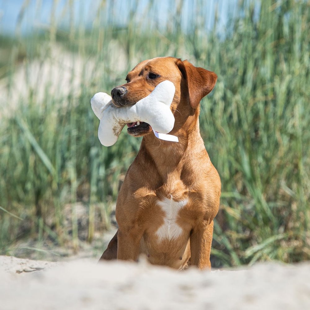 Hundespielzeug Knochen, creme, one size