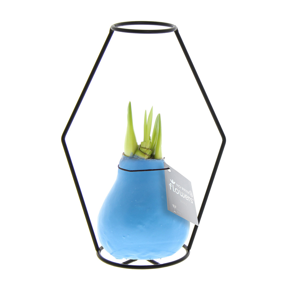 No Water Flowers® - Formz modern, In carry bag, Pastellblau