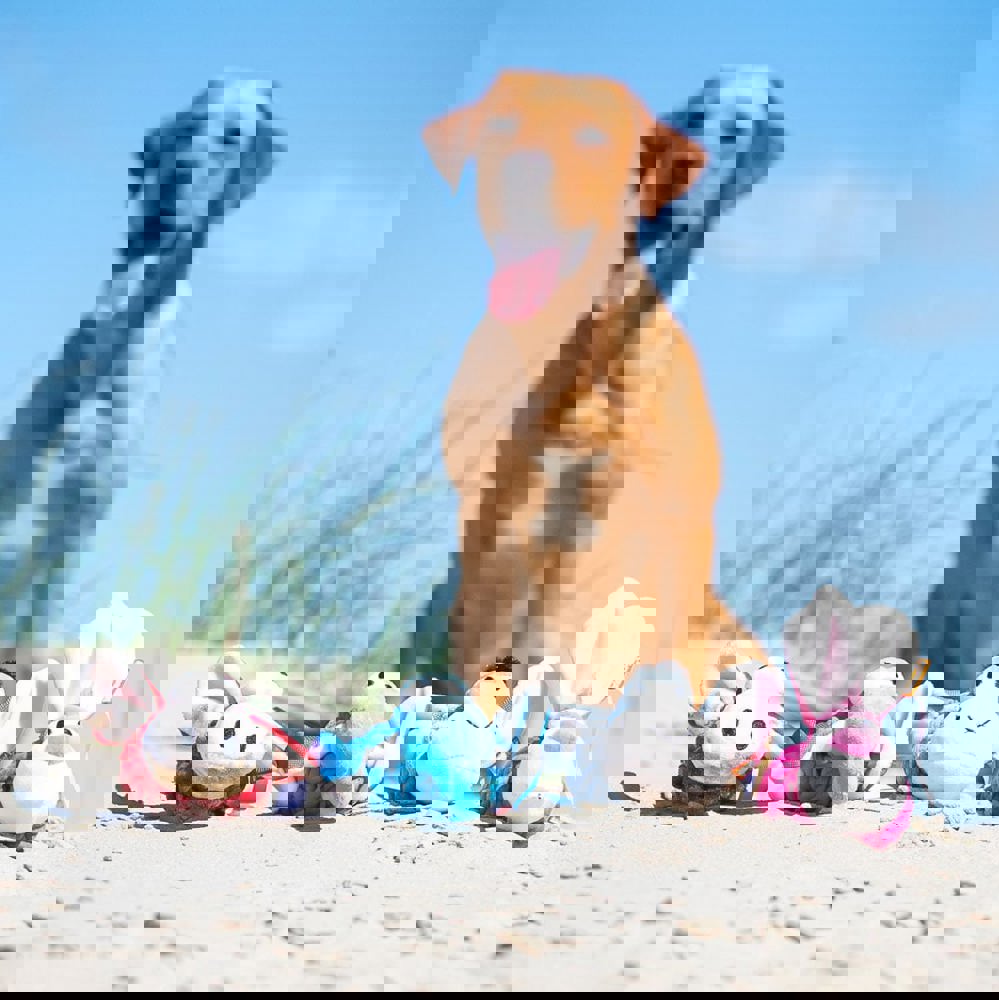 Hundespielzeug Knotentier Wildschwein, rot, one size