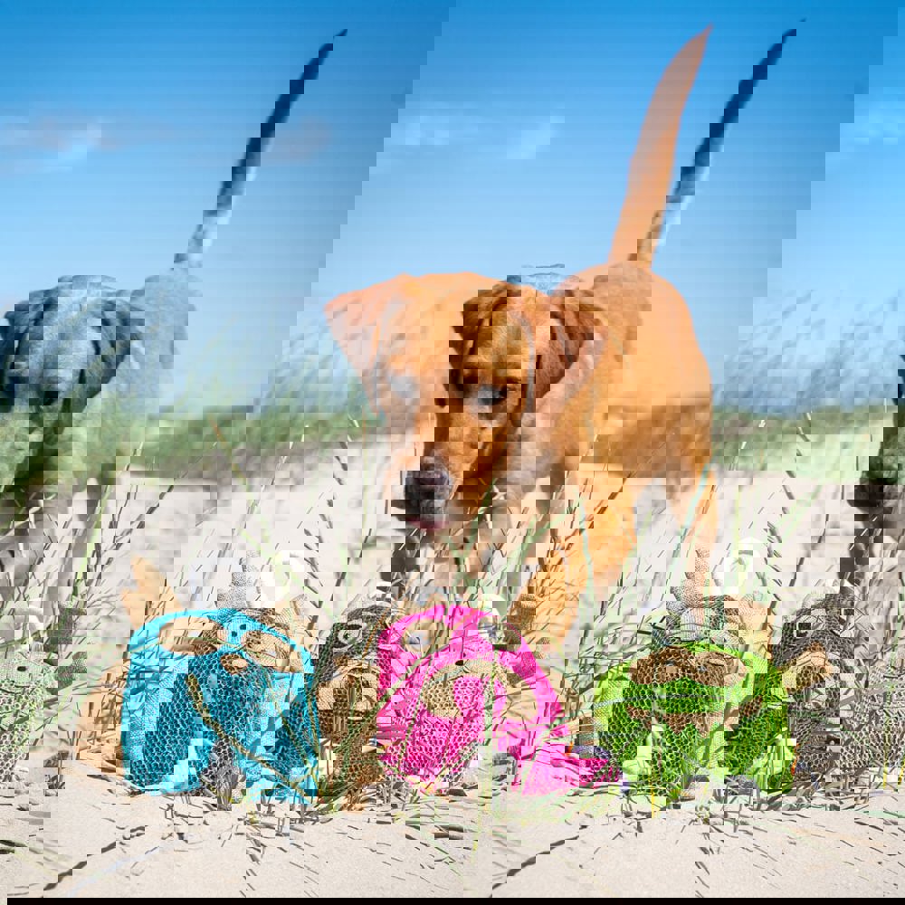 Hundespielzeug Gespenst, grün, one size