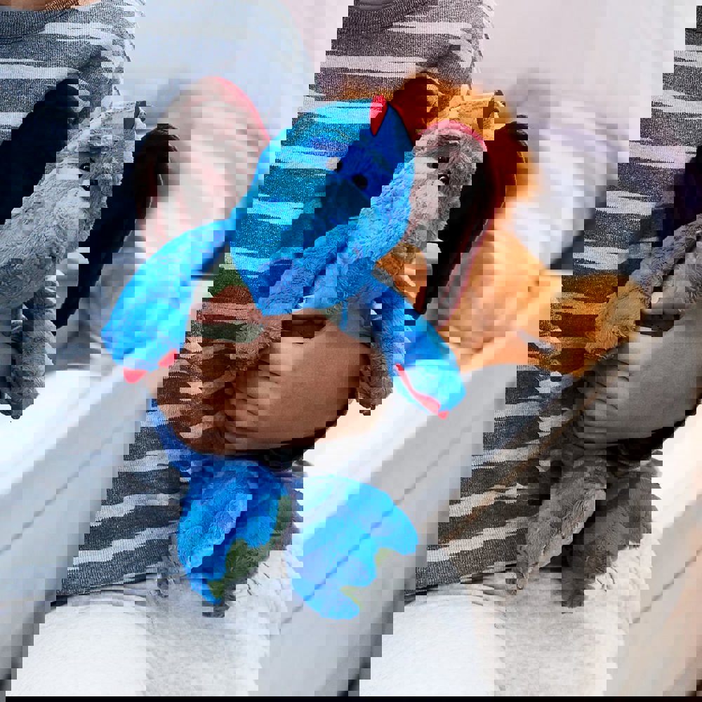 Drache Magnus, multicolour, one size